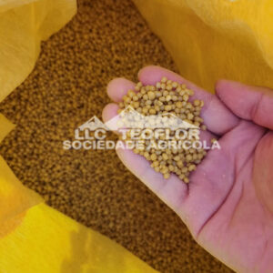 Water Soluble Diammonium Phosphate