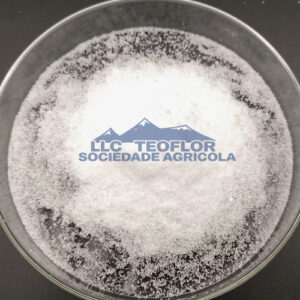 Water Soluble Diammonium Phosphate Crystal