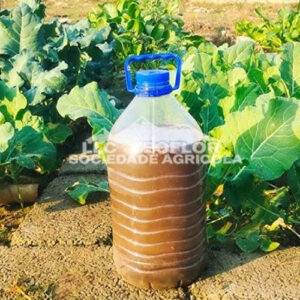 Liquid Fertilizer