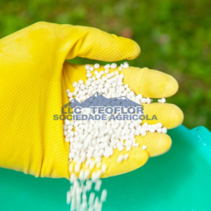 Adding Nitrogen to Plants